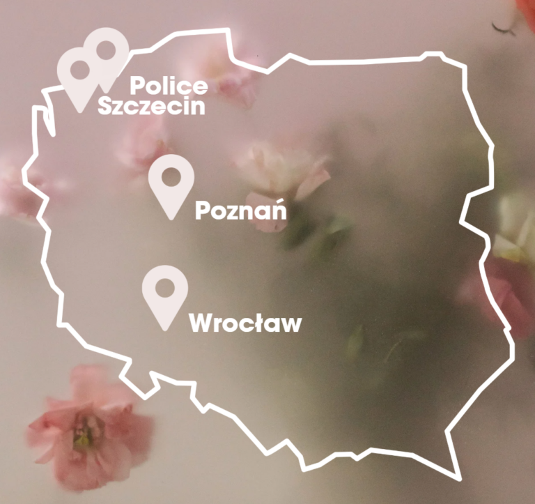 zrzut ekranu 2025 12 17 211820