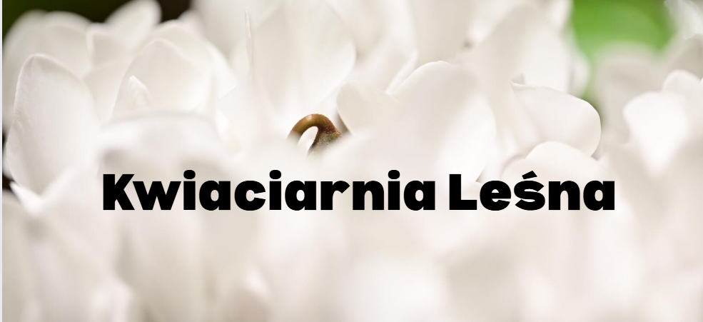 zrzut ekranu 2026 01 13 145204